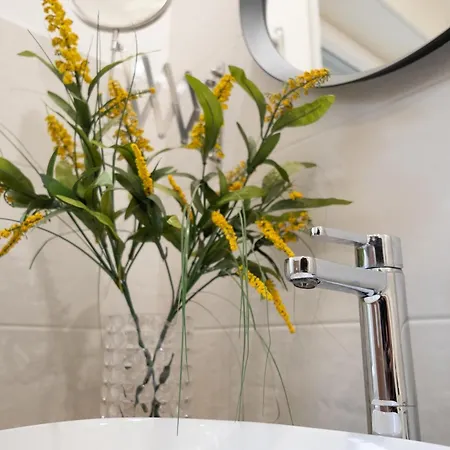 Shalacory Apartment *